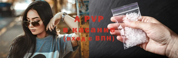 стафф Гусиноозёрск